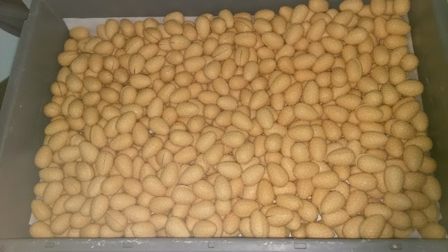 Reviews of Banketbakkerij Teunissen in Velp - Horeca