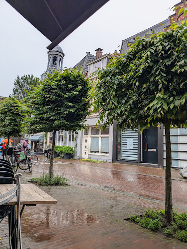 Comentarii opinii despre Pizzicotto