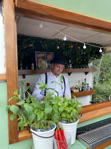 Comentarii opinii despre Missdaisy