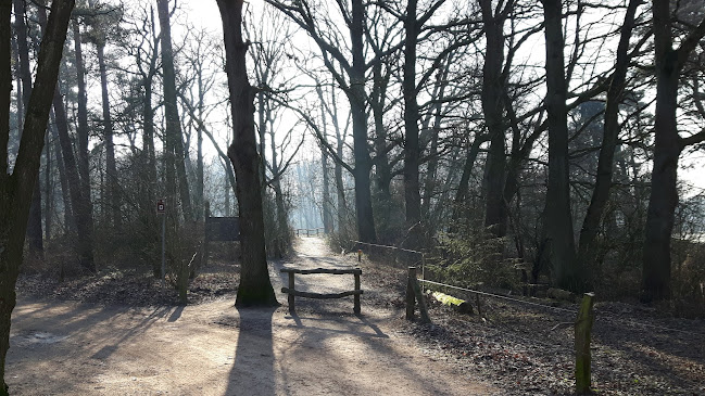 Restaurant Paviljoen Lutterzand Phone number