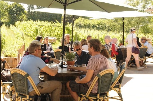 Comentarii opinii despre Wijnhuis Groesbeek