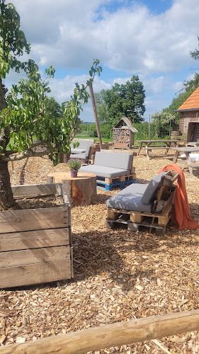 Comentarii opinii despre De Groote Wei