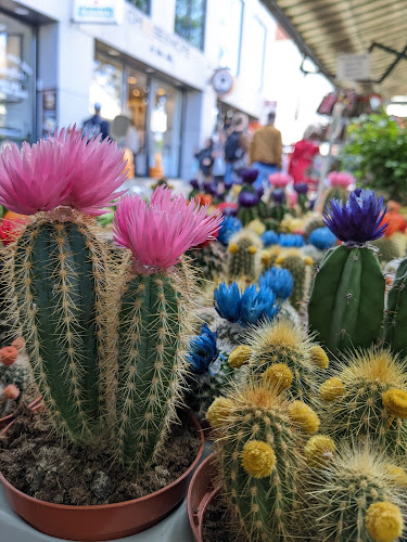 Stins Flowermarket - Horeca