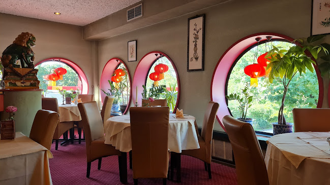 Golden Garden - Eindhoven