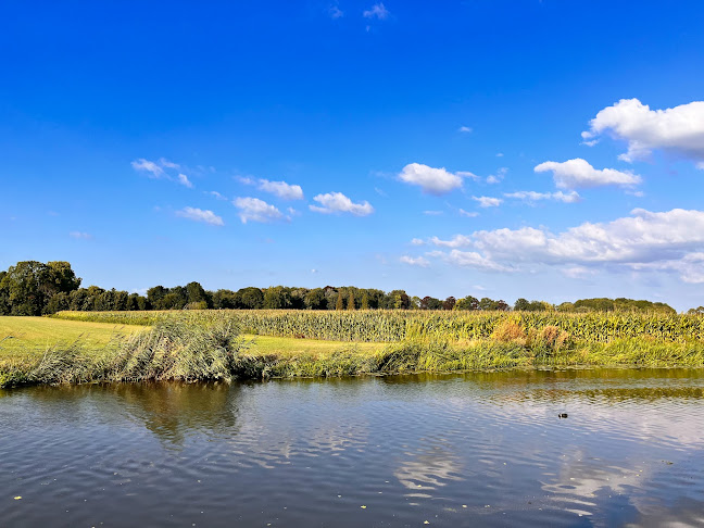 Comentarii opinii despre Restaurant Het Wapen van Harmelen