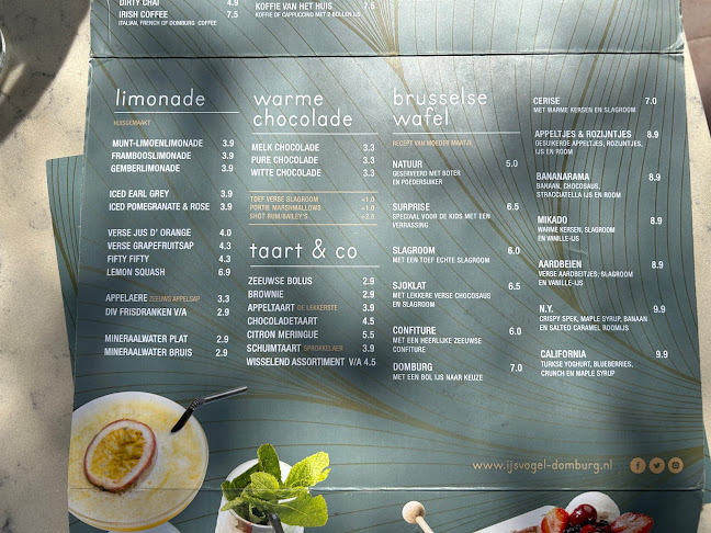 De IJsvogel - Domburg