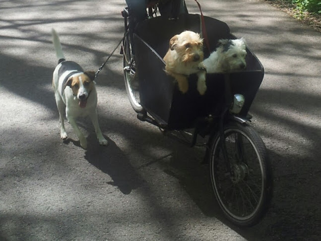 Snackbar "Het Veulenhoff" - Horeca