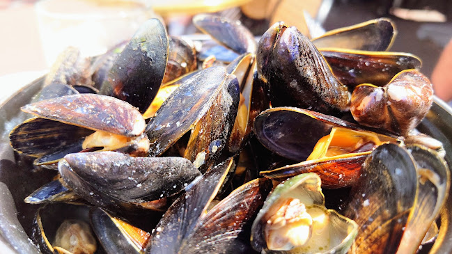 Fishbar Monk - Visrestaurant Haarlem - Haarlem