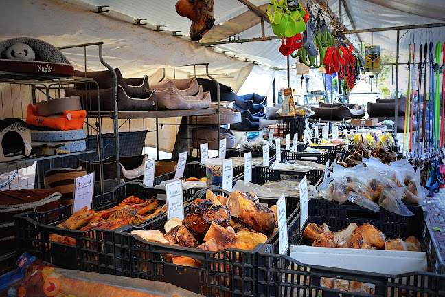 Reviews of Alkmaarse Markt in Alkmaar - Horeca