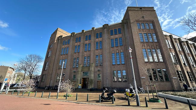 Comentarii opinii despre STACH