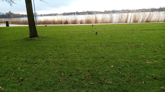 Comments and reviews of Beach House Het Kralingse Bos