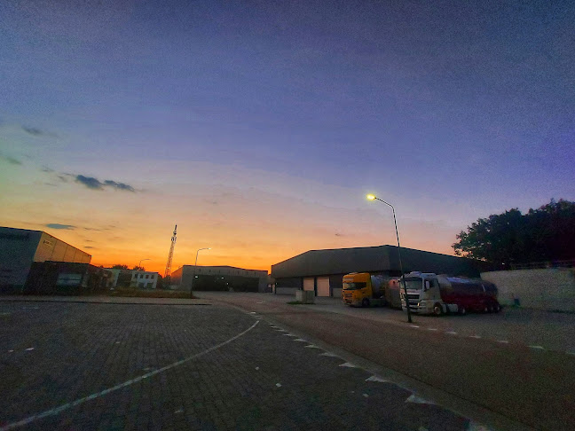 Opinii despre Globemilk B.V. în Boxmeer - Horeca