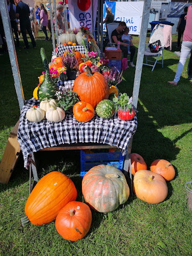 Biljartvereniging Het Vaartje - Horeca