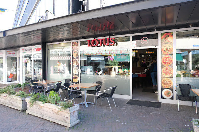 Pizzeria - Grillroom Lotus