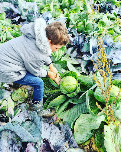 Groot Cromstrijensedijk 17A, 3291 LD Strijen