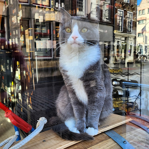 Opinii despre Wijnhuis 167 în Dordrecht - Horeca