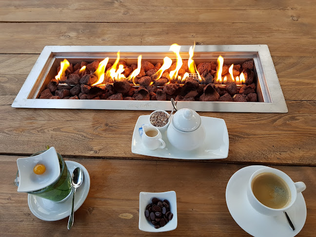 Comentarii opinii despre Bastille