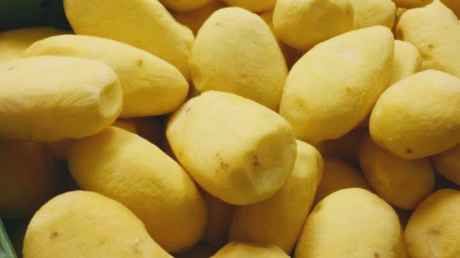 Cafetaria Lily (eigengemaakte friet) - Horeca