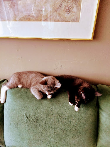 Gall & Gall | Ridderkerk | Ridderhof 26 - Ridderkerk