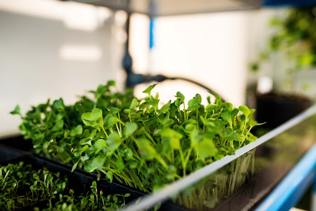 Comentarii opinii despre Sync Ok