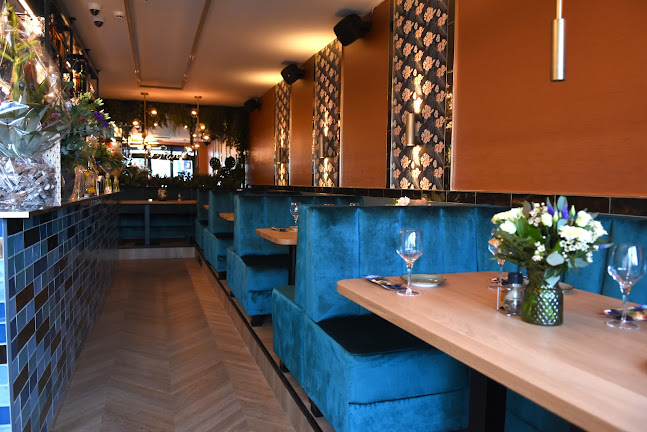 Stars - Hellevoetsluis