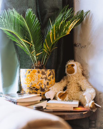 Fjaka Amsterdam - Horeca