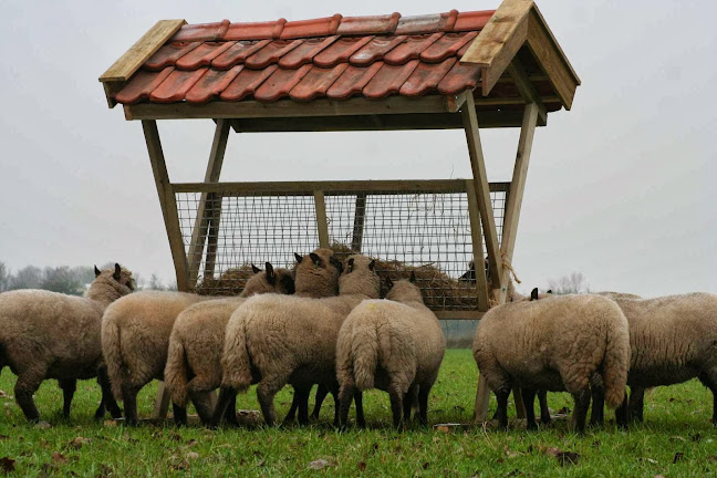 Comentarii opinii despre Hoeve Engelenburgh Kunst en Zorg