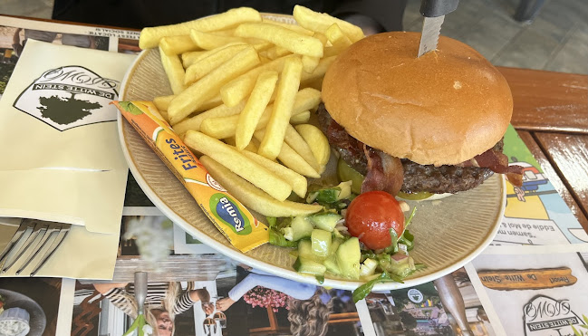 Comments and reviews of De Witte Stein