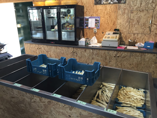 Asperge- en fruittuinderij Van der Kolk Phone number