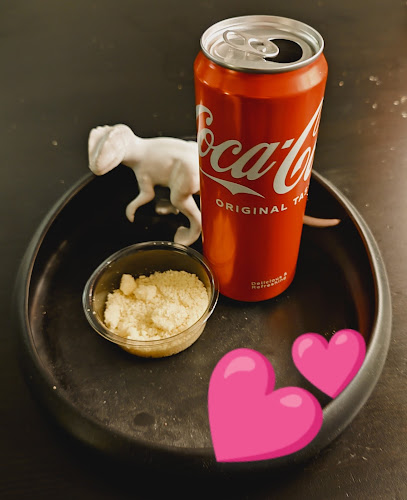 'O Sarracino - Utrecht