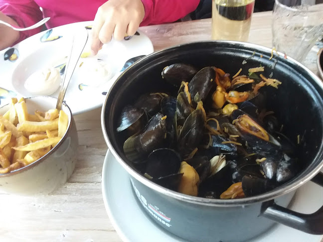 Comentarii opinii despre Dijkpaviljoen De Westkaap