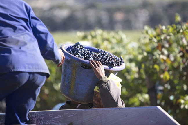 Geurtsen Wijnimport - Amersfoort