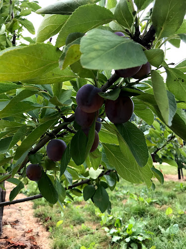 Oirschotsedijk 14A, 5651 GC Eindhoven