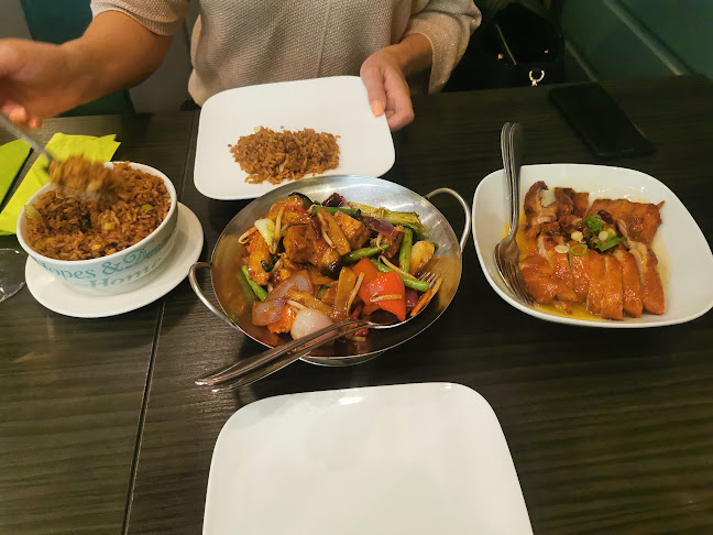 Comments and reviews of Noedobar