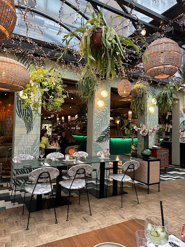 Reviews of LadyPapa in Bergen - Horeca