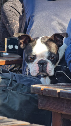 Opinii despre De Engelbewaarder în Amsterdam - Horeca