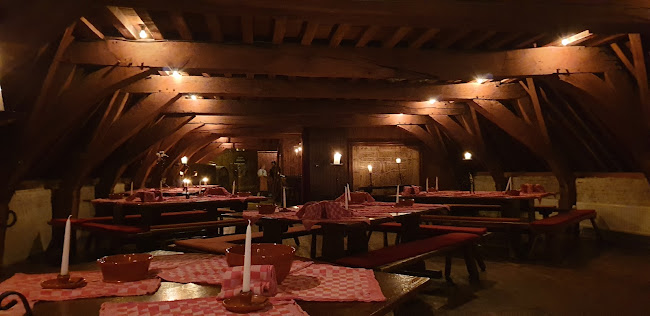 Stadsherberg de Mol Open Times