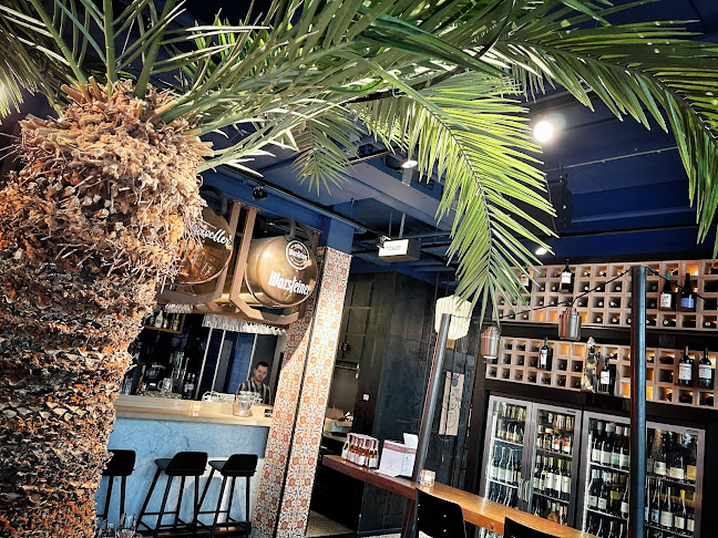 Comentarii opinii despre The Traveller Zuid