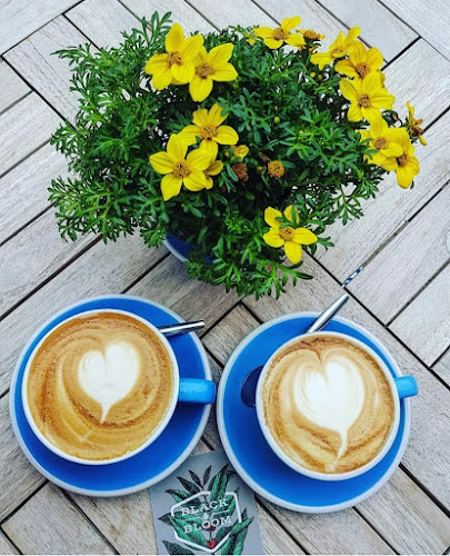 Black & Bloom - Horeca