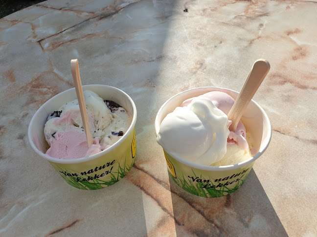 Comentarii opinii despre IJsboerderij Margje 24