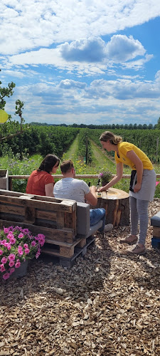 Prinsenmaatweg 3, 7224 NE Rha