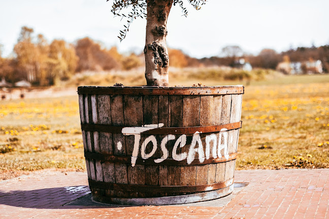 Comentarii opinii despre Toscana Trattoria - A la carte Tapas Restaurant in Lievelde