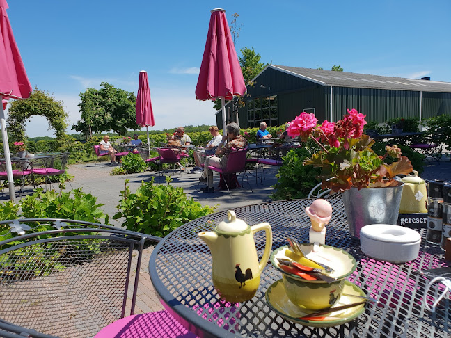 Opinii despre Talenti ijs - koffie - lunch în Gees - Horeca