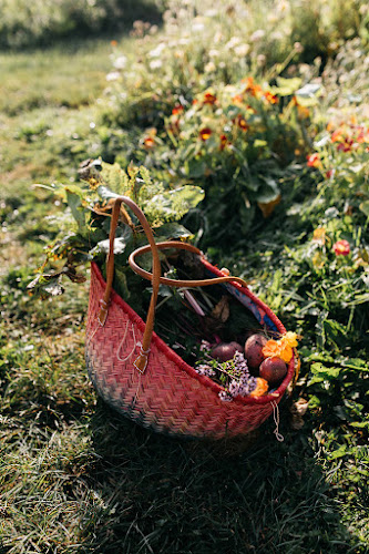 Opinii despre Bij Mei în Zoeterwoude - Horeca