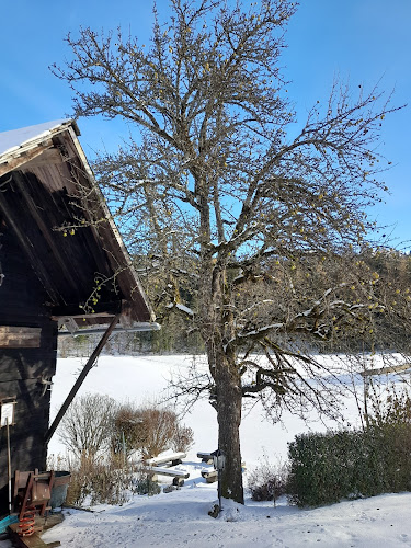 Opinii despre Stadsboerderij Rijssen în Rijssen - Horeca