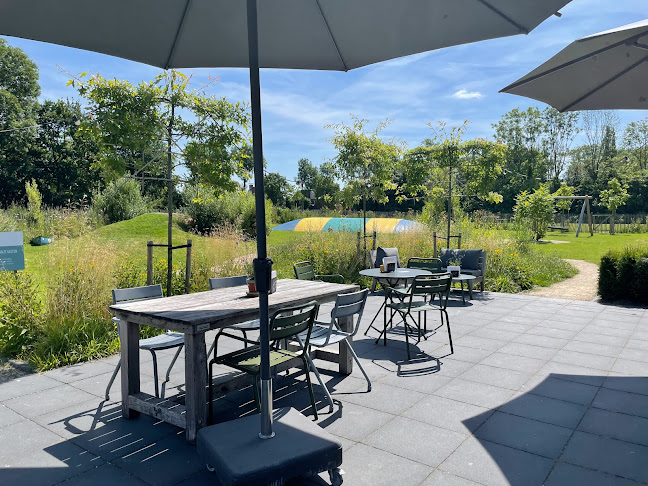 De Jongens uit de buurt