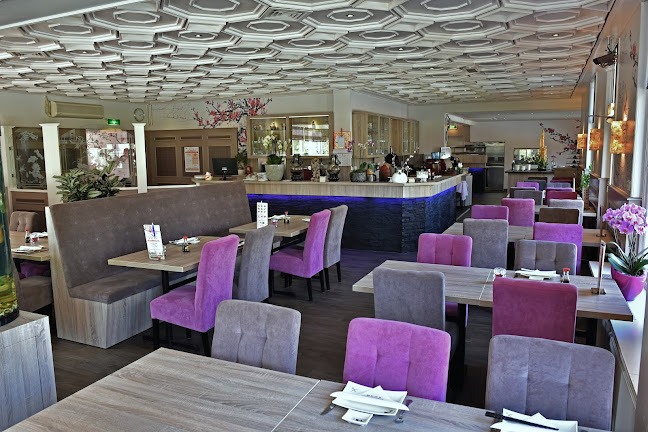 Comentarii opinii despre De Zomertuin