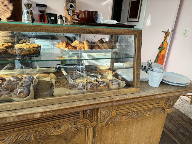 Comentarii opinii despre Zithoek.