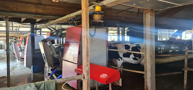 IJsboerderij Margje 24