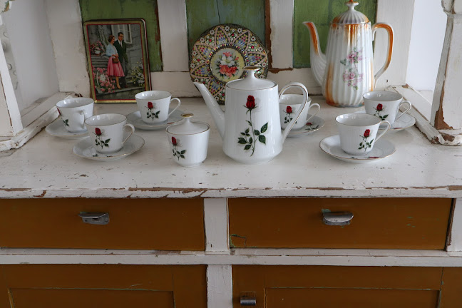 Comentarii opinii despre Knus Bussum